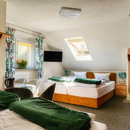 Bed and Breakfast Osrodek Jagienka Zieleniec Duszniki Zdrój Exterior foto